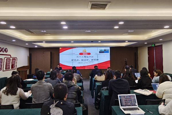 “账房姑娘”上二十大、廉洁党课